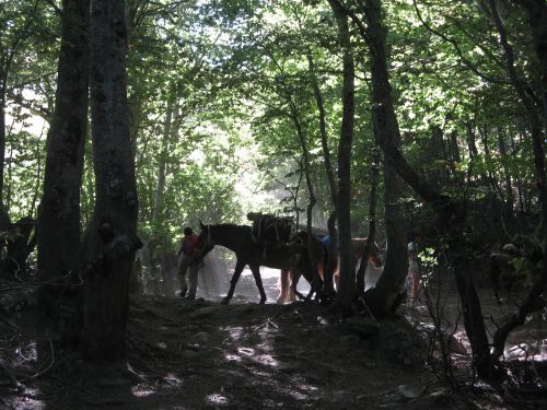 trekking con i muli-188.jpg